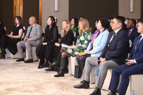 Жендэрийн тэгш байдлыг хангах аян эхэллээ